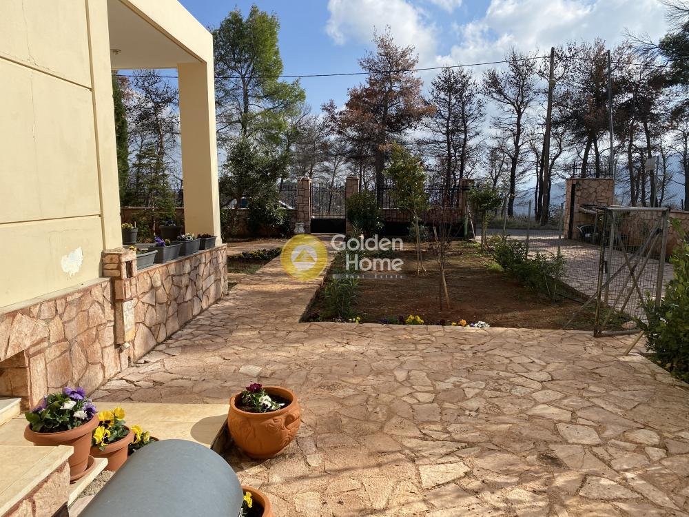 House in Oropos, Attica, Greece 4 - 14362509