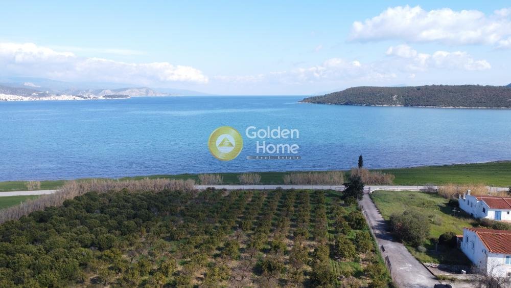Land in Ermioni, Peloponnese, Western Greece and the Ionian, Greece 2 - 14363721