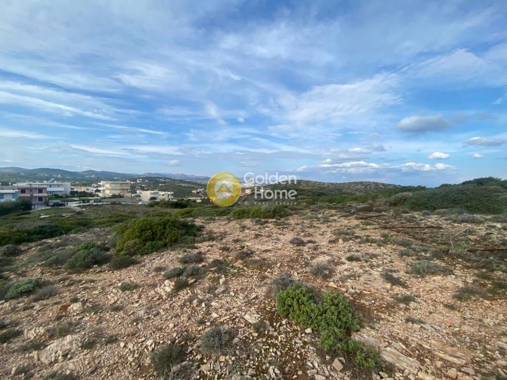 Land in Lavreotiki, Attica, Greece 5 - 14362738
