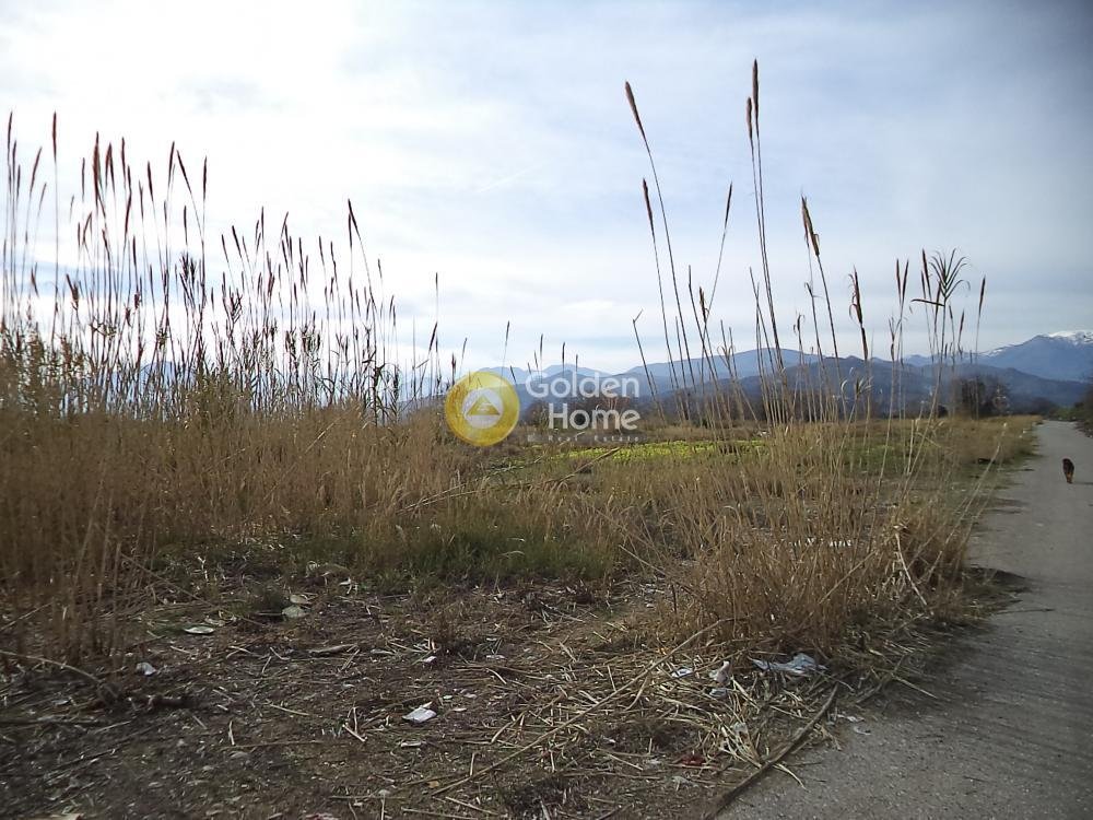 Land in Loggou, Sympolitia, Peloponnese, Western Greece and the Ionian 1 - 14362733