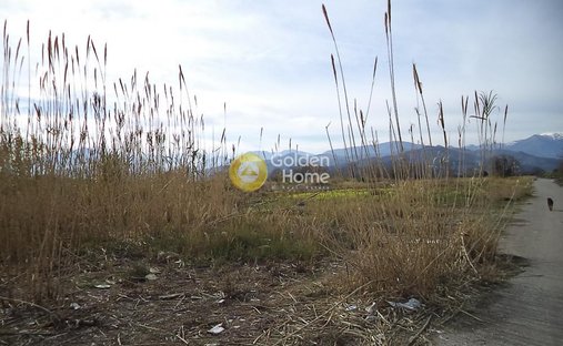 Terreno en Loggou, Sympolitia, Peloponnese, Western Greece and the Ionian 1
