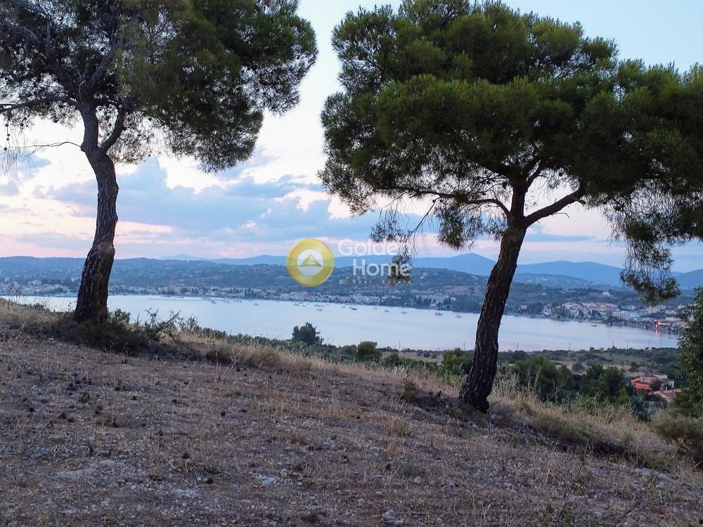 Land in Argolis, Peloponnese, Western Greece and the Ionian, Greece 2 - 14363685