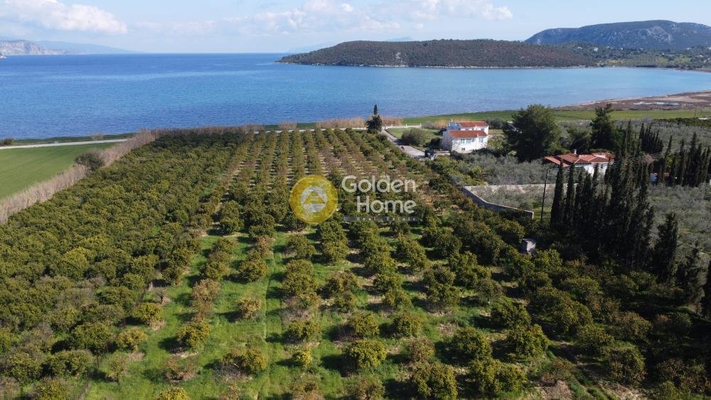 Land in Ermioni, Peloponnese, Western Greece and the Ionian, Greece 3 - 14363721