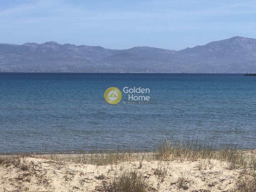 Land in Cyclades, Aegean, Greece 1 - 14363995