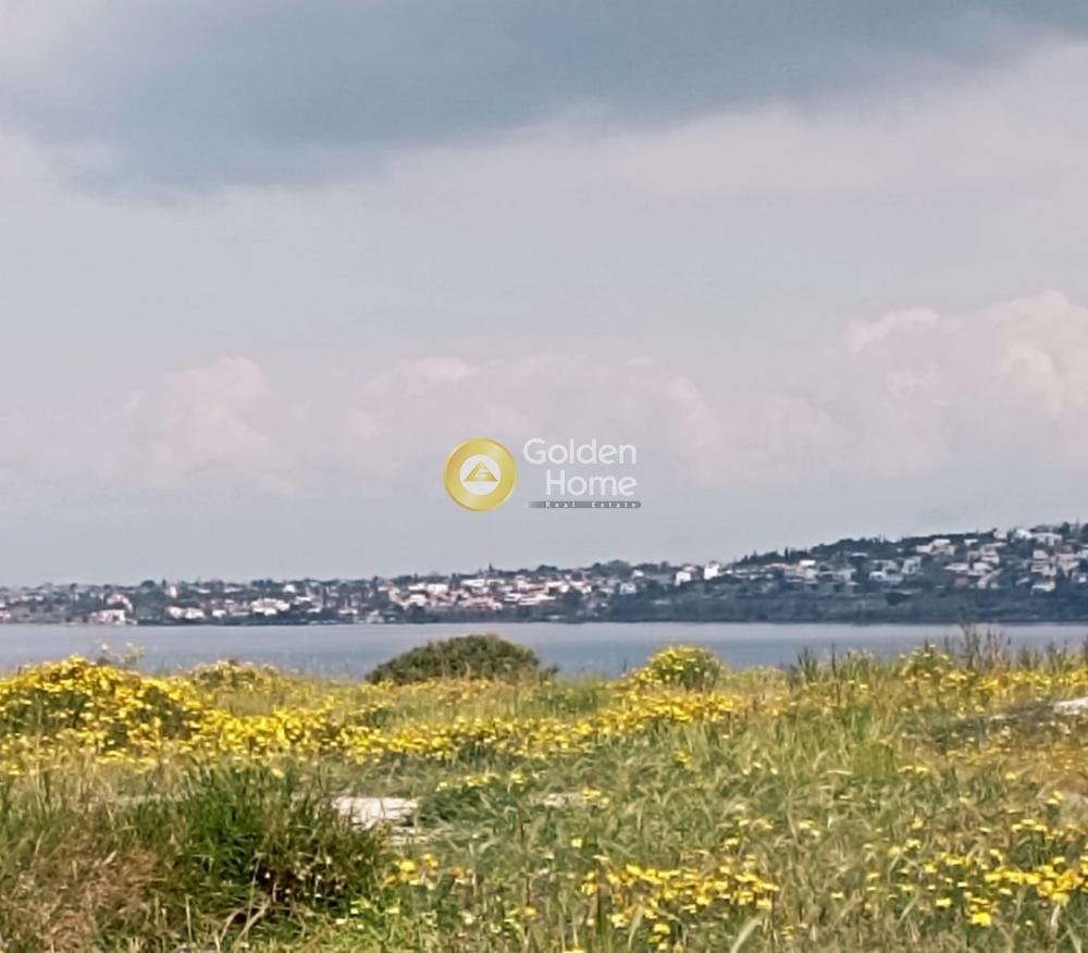 Land in Perdika Municipal Community, Attica, Greece 5 - 14362654