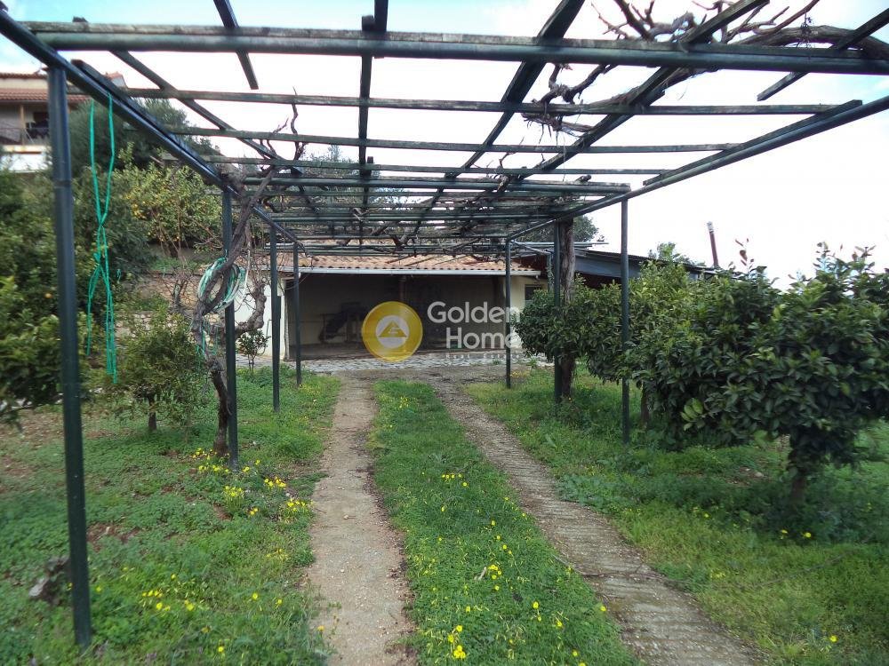 House in Akratas, Peloponnese, Western Greece and the Ionian, Greece 5 - 14362776