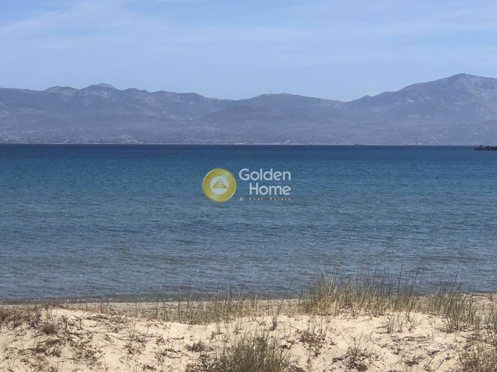 Land in Cyclades, Aegean, Greece 4 - 14363995