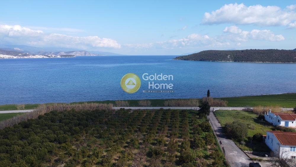 Land in Ermioni, Peloponnese, Western Greece and the Ionian, Greece 1 - 14363721