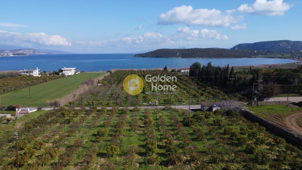 Land in Ermioni, Peloponnese, Western Greece and the Ionian, Greece 5 - 14363723