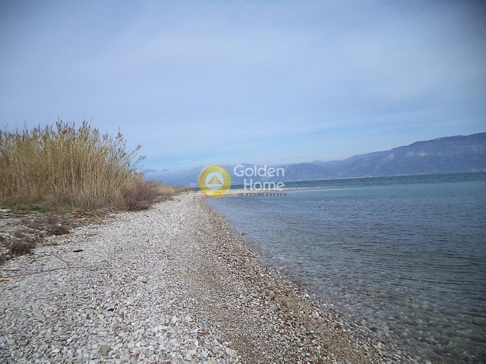 Land in Loggou, Sympolitia, Peloponnese, Western Greece and the Ionian 3 - 14362733