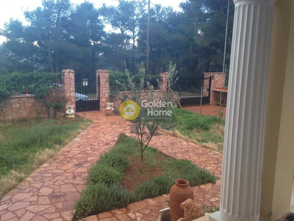 House in Oropos, Attica, Greece 5 - 14362509