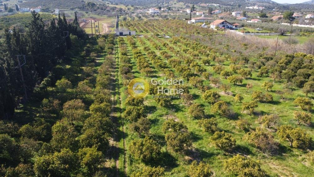 Land in Ermioni, Peloponnese, Western Greece and the Ionian, Greece 5 - 14363721