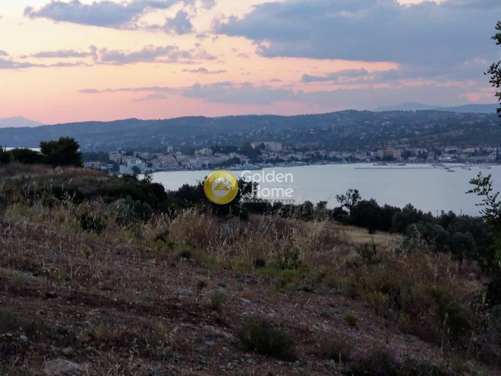 Land in Argolis, Peloponnese, Western Greece and the Ionian, Greece 1 - 14363685