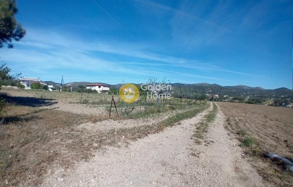 Land in Keratea, Attica, Greece 3 - 14363065