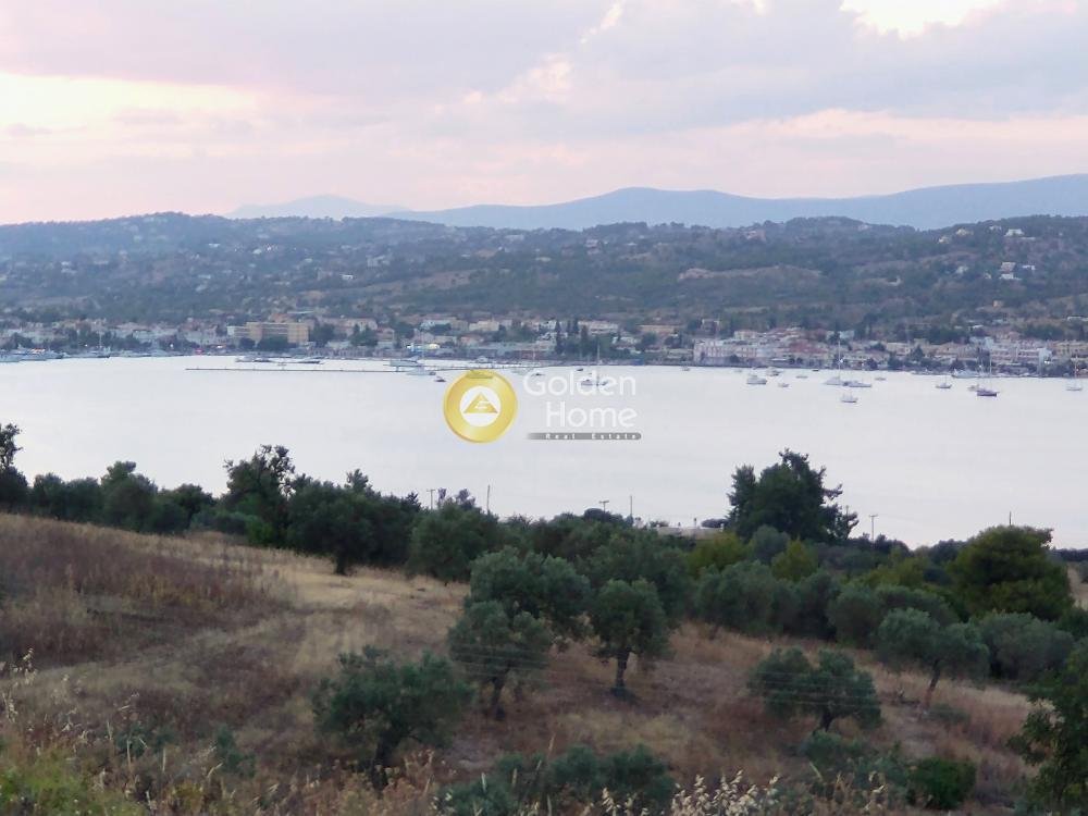 Land in Koinotita Portoxeliou, Kranidi, Greece 4 - 14363682