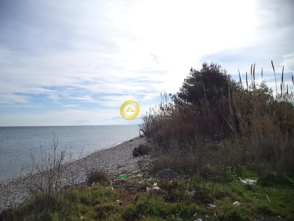 Land in Loggou, Sympolitia, Peloponnese, Western Greece and the Ionian 5 - 14362733