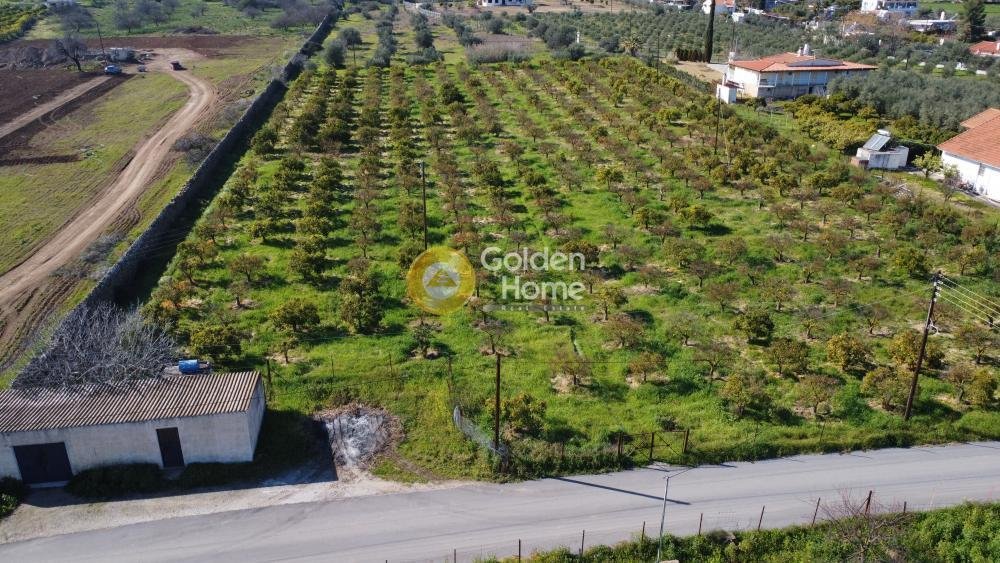 Land in Ermioni, Peloponnese, Western Greece and the Ionian, Greece 2 - 14363723