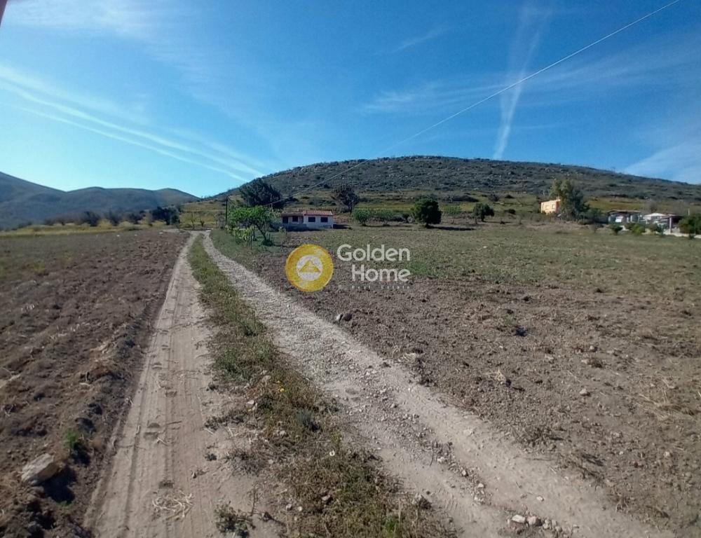 Land in Keratea, Attica, Greece 4 - 14363065