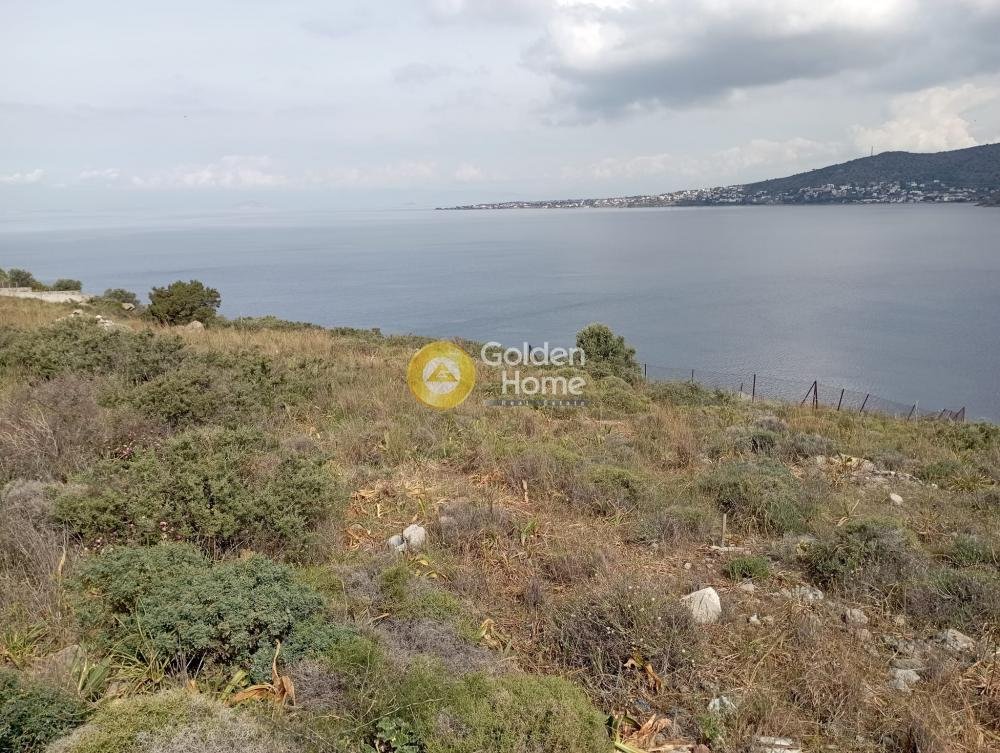 Land in Perdika Municipal Community, Attica, Greece 4 - 14362654