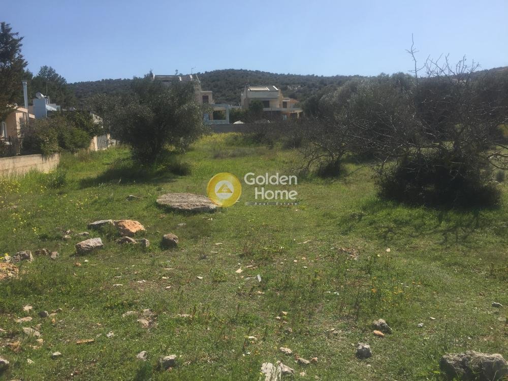 Land in Vari, Attica, Greece 4 - 14362118