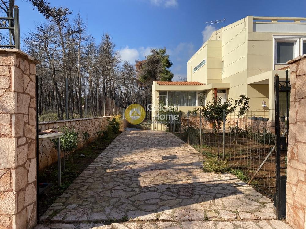 House in Oropos, Attica, Greece 3 - 14362509