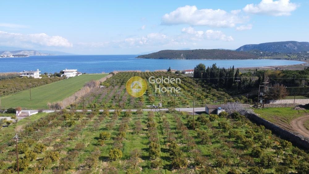 Land in Ermioni, Peloponnese, Western Greece and the Ionian, Greece 1 - 14363723