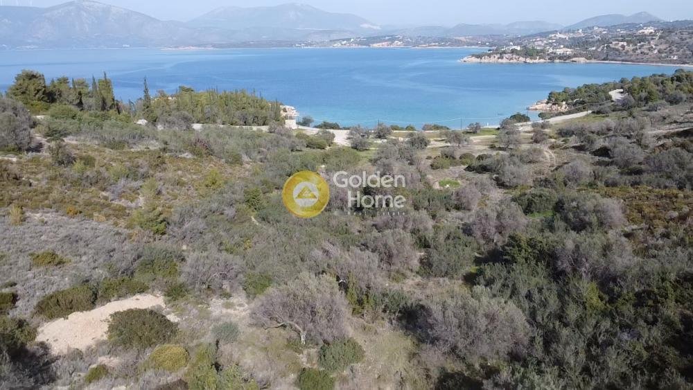 Land in Koinotita Kranidiou, Kranidi, Greece 3 - 14363738