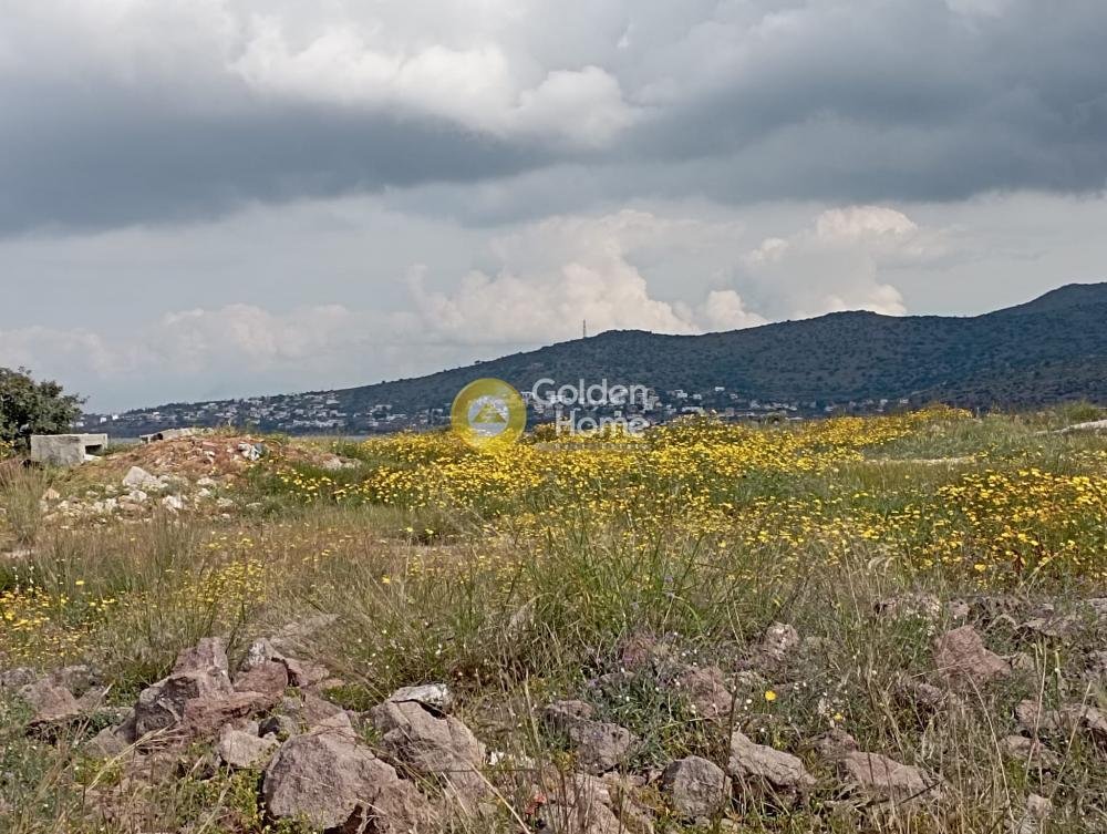 Land in Perdika Municipal Community, Attica, Greece 3 - 14362654