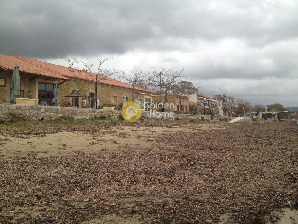 Land in Pylos and Nestor, Peloponnese, Western Greece and the Ionian, Greece 2 - 14362686