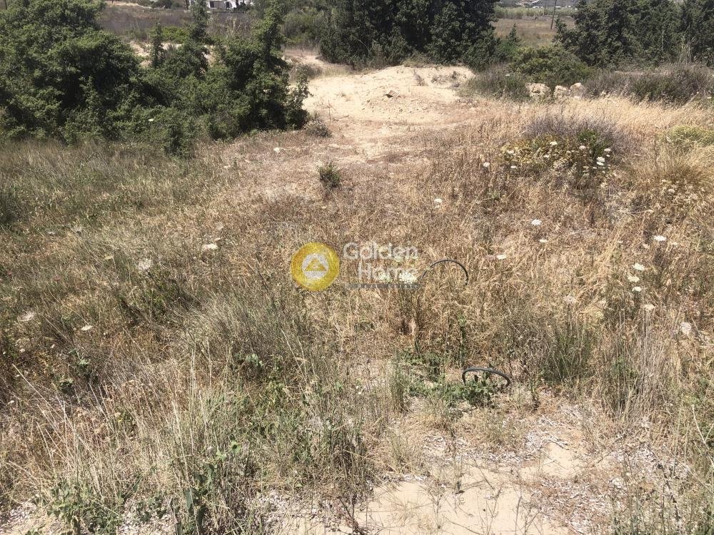 Land in Cyclades, Aegean, Greece 2 - 14363995