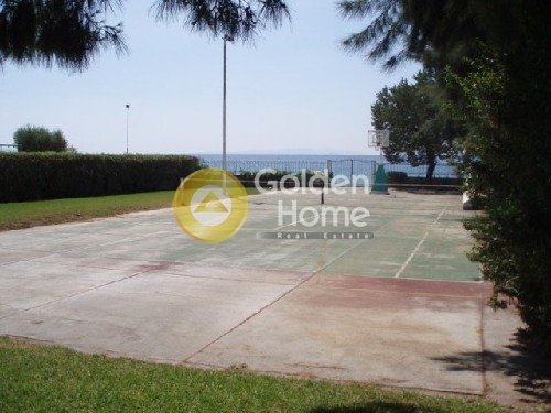 House in Community of Kineta, Megara, Greece 2 - 14363259