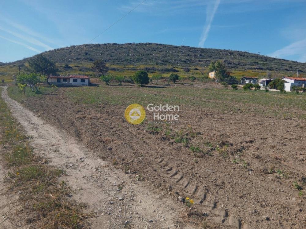 Land in Keratea, Attica, Greece 5 - 14363065