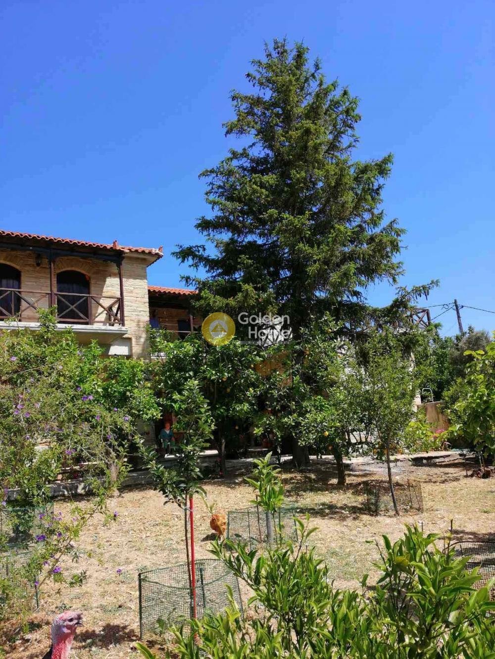 House in Kymi - Aliveri Anna, Thessaly and Central Greece, Greece 4 - 14364139