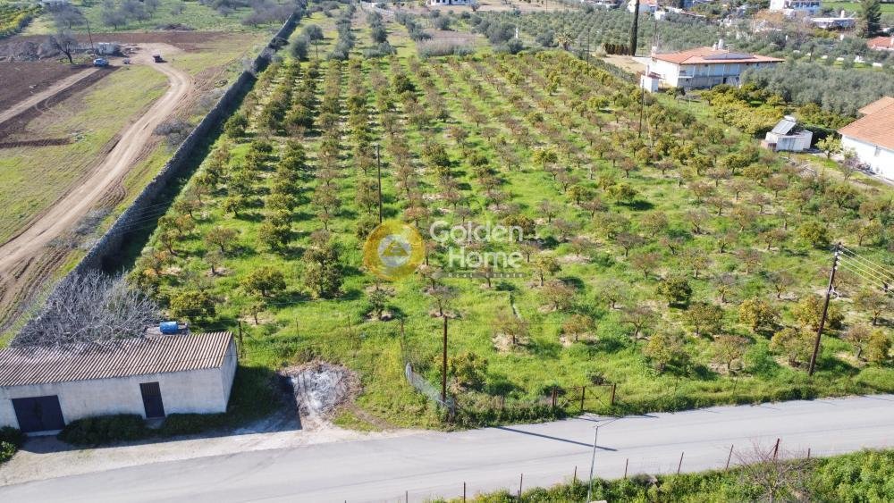 Land in Ermioni, Peloponnese, Western Greece and the Ionian, Greece 4 - 14363723