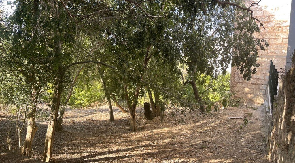 Land in Campanet, Balearic Islands, Spain 4 - 14228013