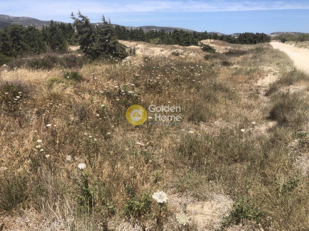 Land in Cyclades, Aegean, Greece 3 - 14363995