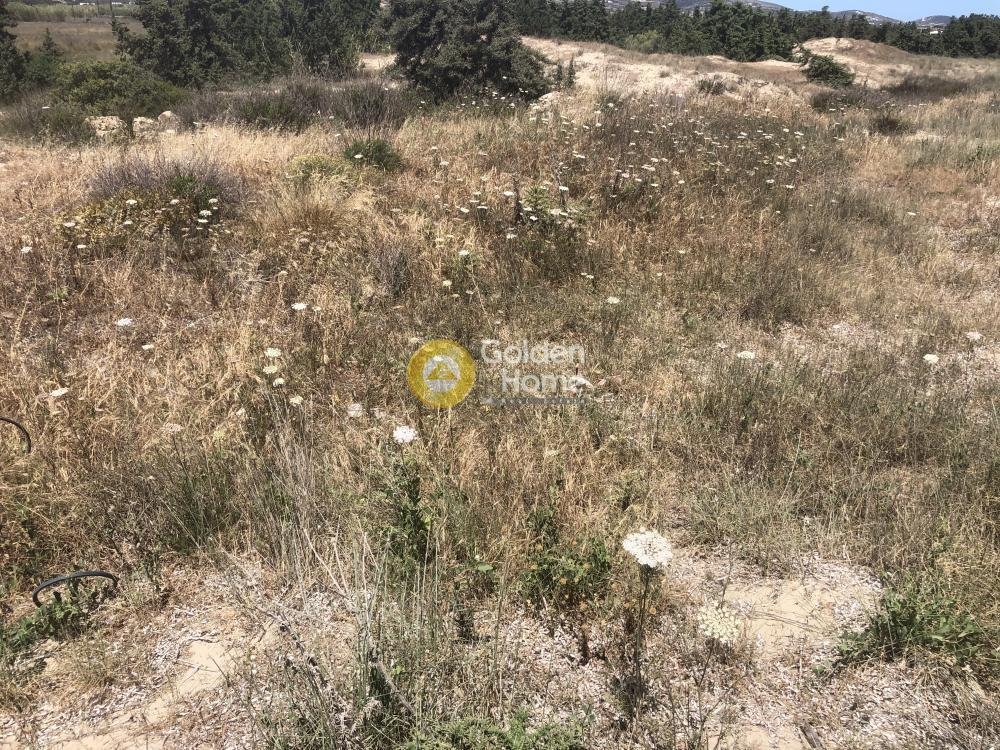 Land in Cyclades, Aegean, Greece 5 - 14363995