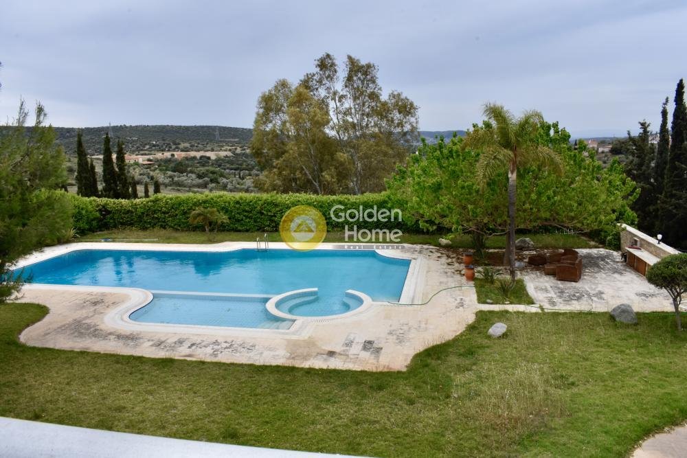 House in Kropia, Attica, Greece 5 - 14361605