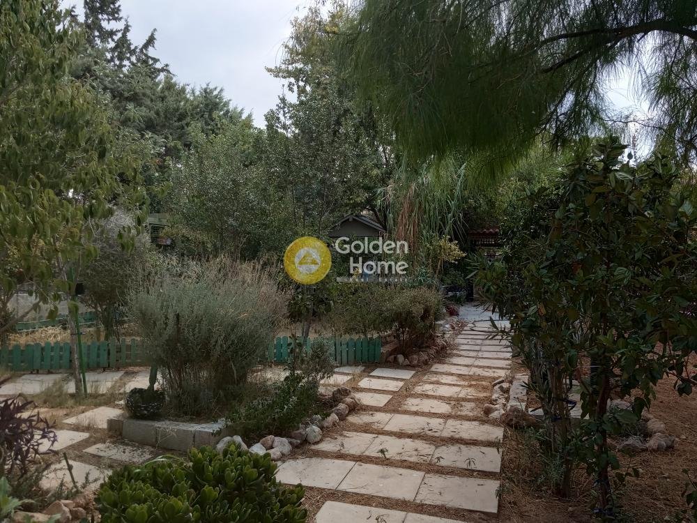 House in Vari, Attica, Greece 3 - 14362604