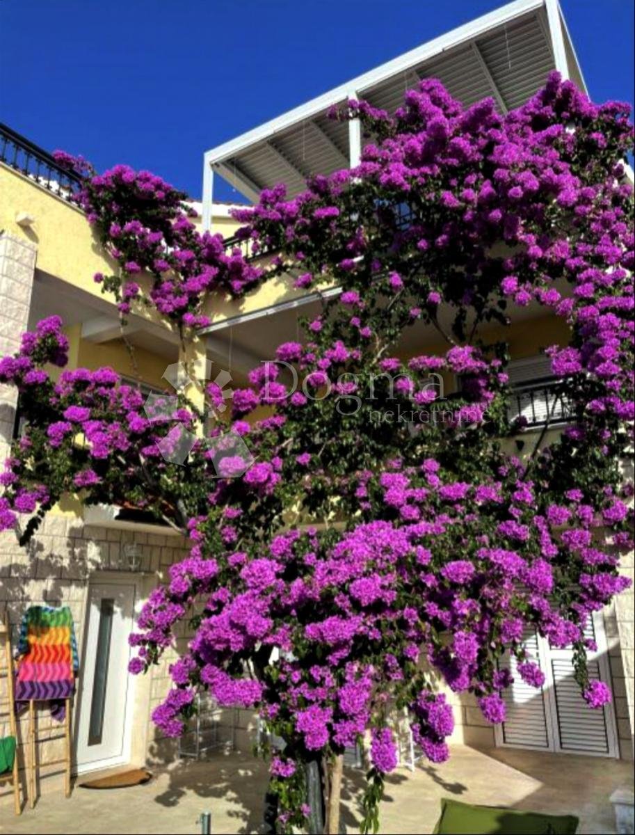 House in Seget Donji, Split-Dalmatia County, Croatia 2 - 14361904