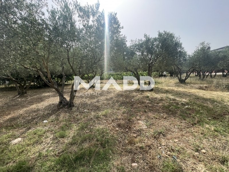 Land in Central Macedonia, Macedonia and Thrace, Greece 5 - 14362819