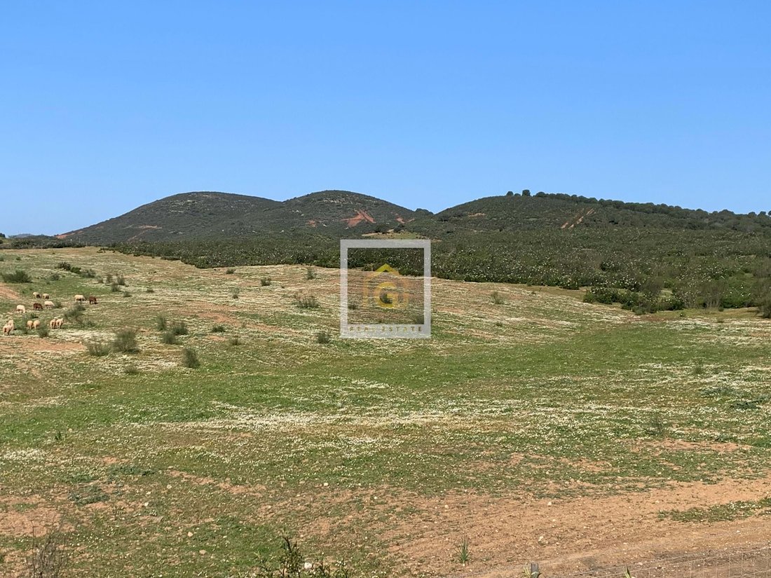 Land in Beja (Salvador e Santa Maria da Feira), Beja District, Portugal 2 - 14360692