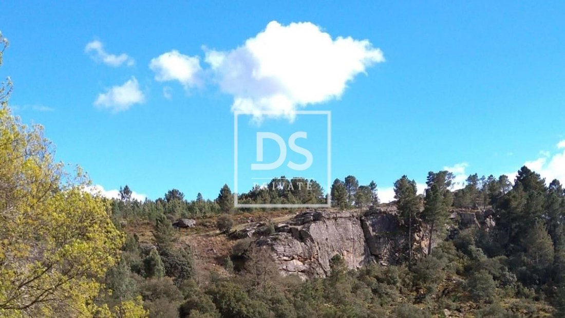 Farm Ranch in Jou, Vila Real District, Portugal 1 - 14361675