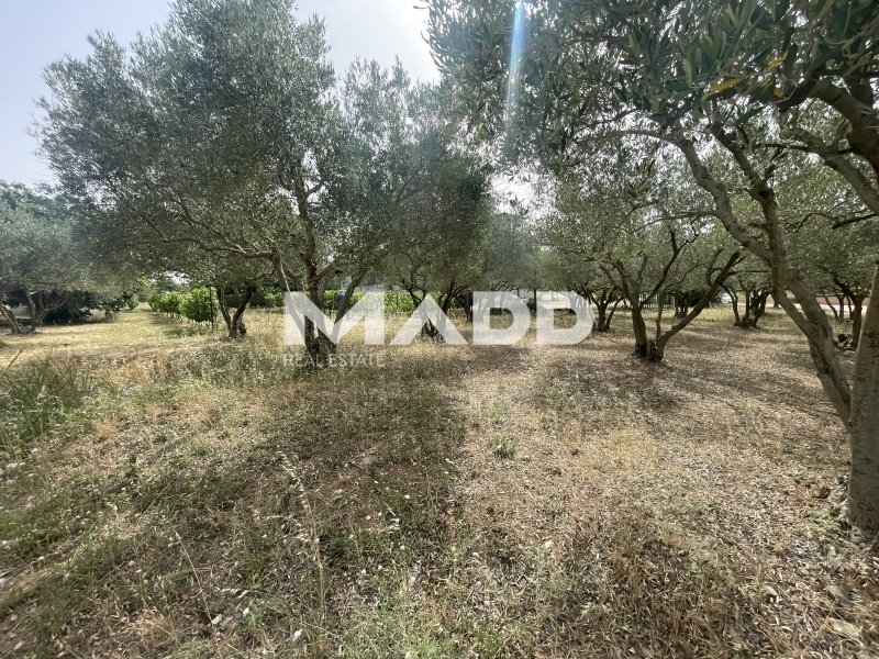 Land in Central Macedonia, Macedonia and Thrace, Greece 4 - 14362819
