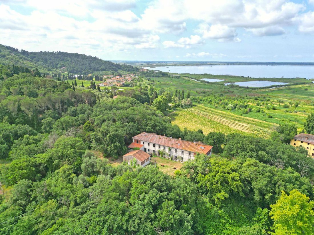 Villa in Massaciuccoli, Massarosa, Tuscany 2 - 14282040