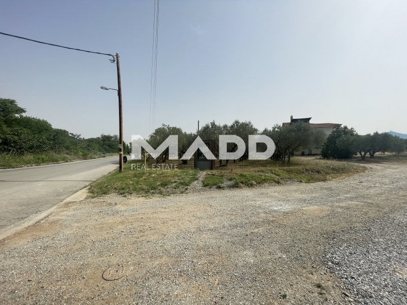 Land in Central Macedonia, Macedonia and Thrace, Greece 1 - 14362819