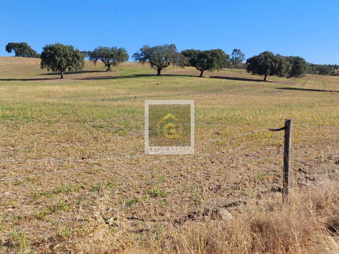Land in Beja (Salvador e Santa Maria da Feira), Beja District, Portugal 1 - 14360692