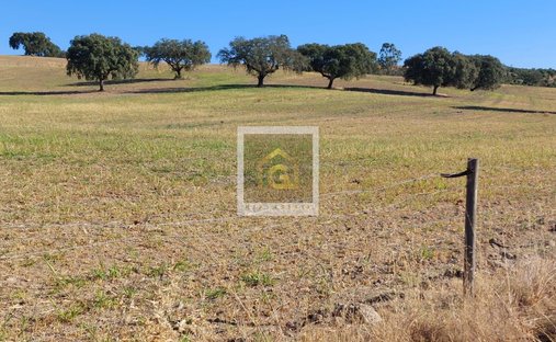 Terreno a Beja (Santiago Maior e Sao Joao Baptista), Distretto di Beja, Portogallo 1