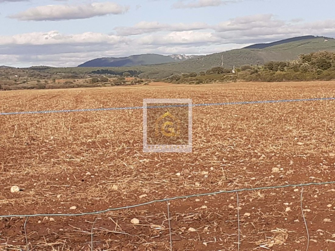 Land in Beja (Salvador e Santa Maria da Feira), Beja District, Portugal 4 - 14360692