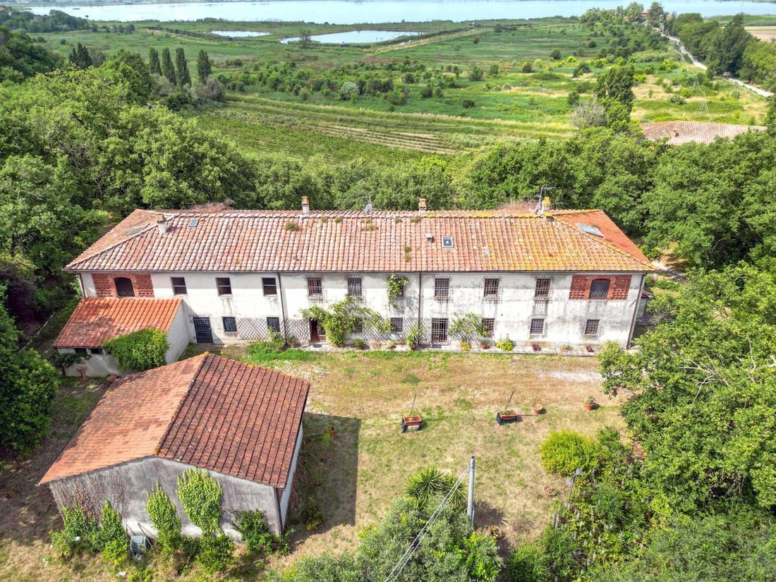 Villa in Massaciuccoli, Massarosa, Tuscany 1 - 14282040